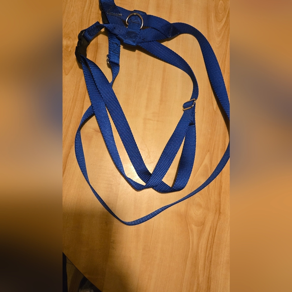 Blue Adjustable Strap